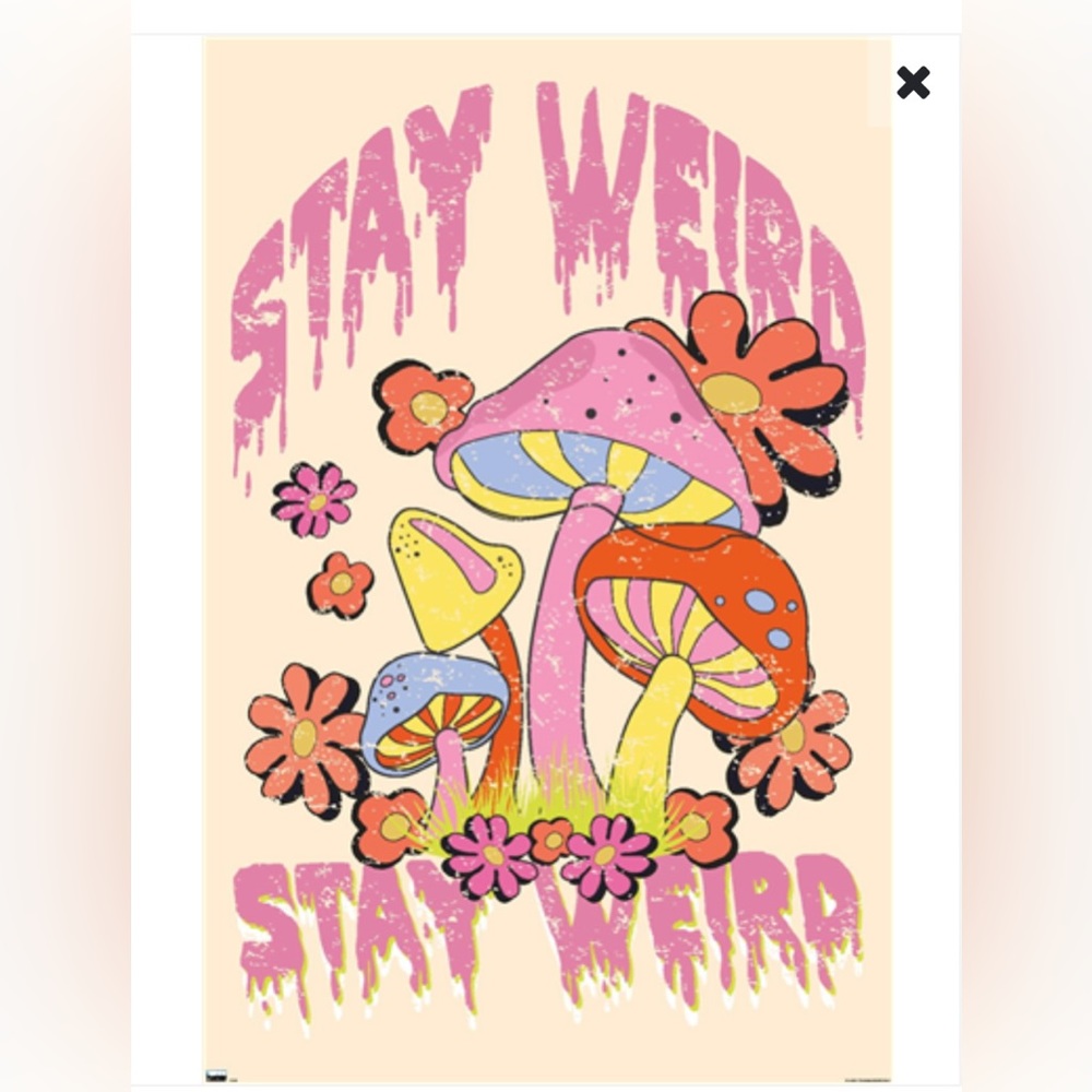 Stay Weird Mushrooms poster